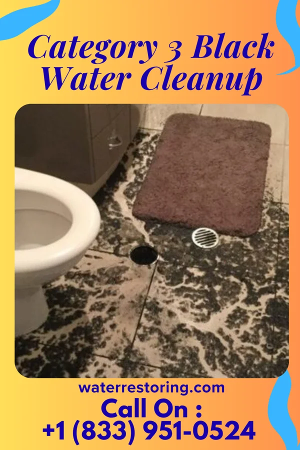 Category 3 Black Water Cleanup in Bryant, IL