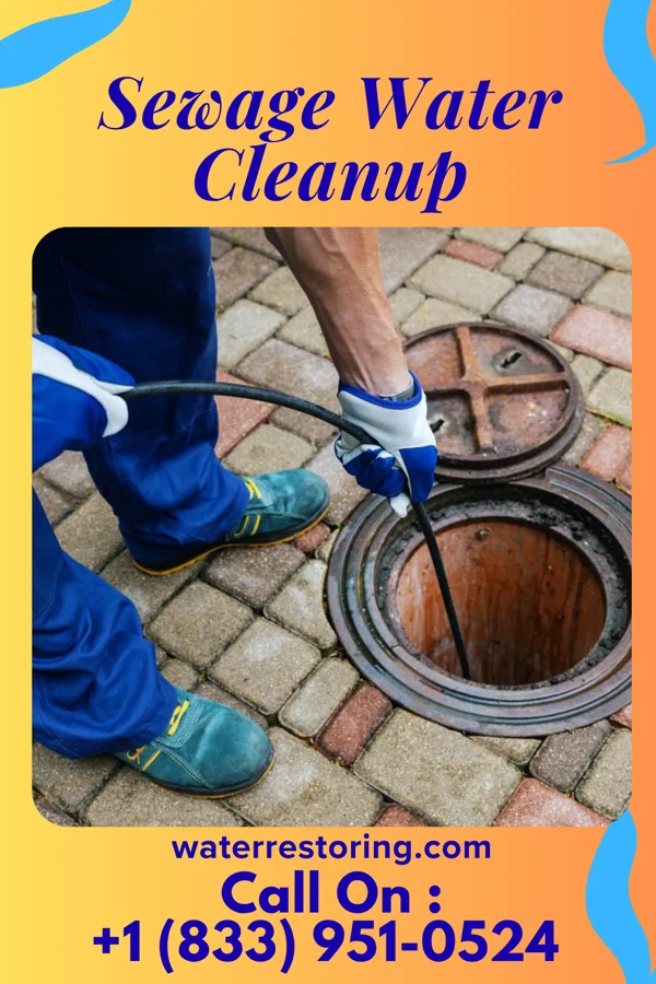 Sewage Water Cleanup in Bryant, IL