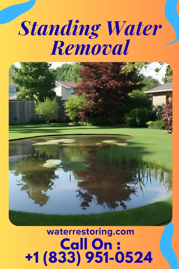 Standing Water Removal in Bryant, IL
